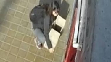 Video: indignación en las redes por una sanjuanina que abandonó cinco cachorritos