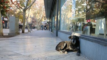 ¿Un descanso para el invierno?