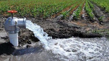 Qué es el proyecto de Fomento a la Eficiencia Hídrica y cómo lo implementarán