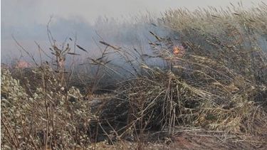 El Zonda provocó incendios otra vez