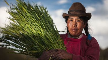 La imperdible galería de fotos de 5 proyectos de Tapella