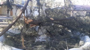 La Agrotécnica Manuel Belgrano, de Jáchal, fue una de las escuelas sanjuaninas más afectadas por el viento. (Imagen: Actualidad Jachallera).