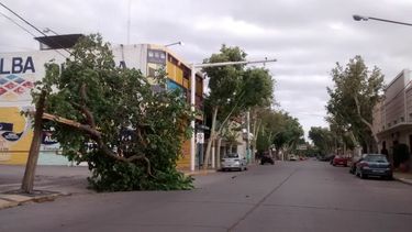 El día después... así amaneció San Juan tras el tremendo ventarrón