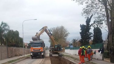 Nuevos cortes en Ignacio de la Roza por poda y erradicación de arbolado público