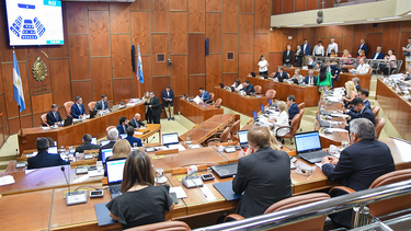 La Legislatura aprobó el aumento en las multas por maltrato animal e incluyó días de arresto