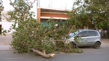 Mirá cómo quedó San Juan tras un día completo de fuerte viento Zonda