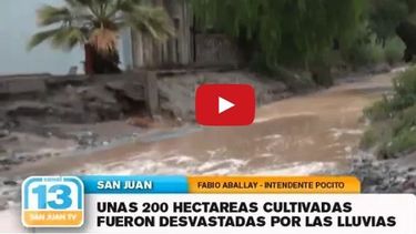 Pocito: 200 hectáreas afectadas por la lluvia