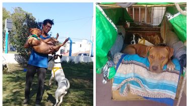 Increíble travesía en bici: pedalean de Rosario a San Juan para no separarse de sus perritos