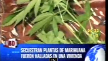 Videonota: La marihuana del artesano