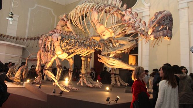 Abrieron las puertas de la muestra más grande de dinosaurios
