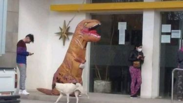 ¿Quién es el sanjuanino detrás del disfraz de dinosaurio que fue furor en el banco?