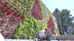 Museo de la Memoria Urbana: un gigante a punto de florecer