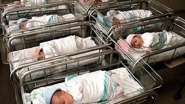 Exclusivo: cambiaron a una recién nacida y hay tres familias que esperan el ADN para saber quiénes son sus hijos