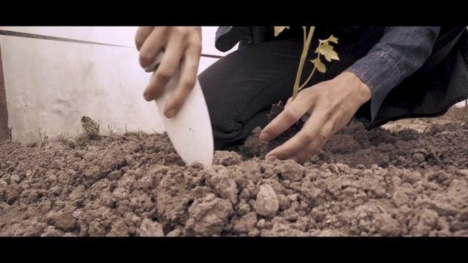 Conocé qué se financió con el Fondo Minero para el Desarrollo de Comunidades