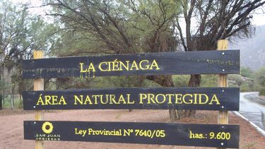 En 6 años, más de 70 mil hectáreas nuevas de bosques protegidos