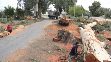 El ensanche que levantó polvareda