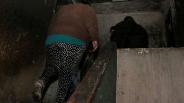 Falleció Emiliano, el pequeño que sufrió graves quemaduras en el incendio de su casa Falleció Emiliano, el pequeño que sufrió graves quemaduras en el incendio de su casa