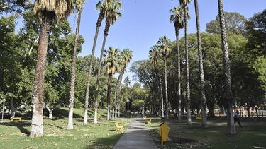 Tras los destrozos que generó el viento, el Parque de Mayo quedó habilitado