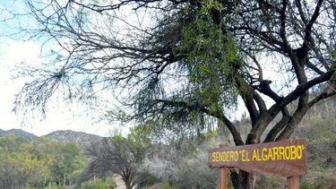 Ambiente impulsa una jornada de senderismo y cuidado del bosque nativo en Valle Fértil