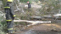 Lo que el Zonda nos dejó: incendios, ramas caídas y cortes de luz