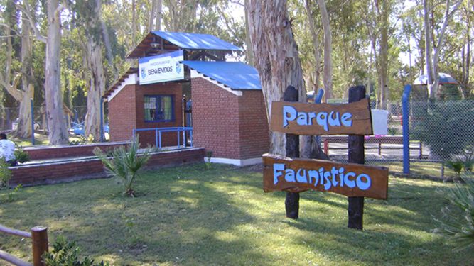 Mala praxis operacional, un habitué en el Faunístico