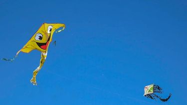 Mirá las mejores fotos del festival de barriletes en San Martín