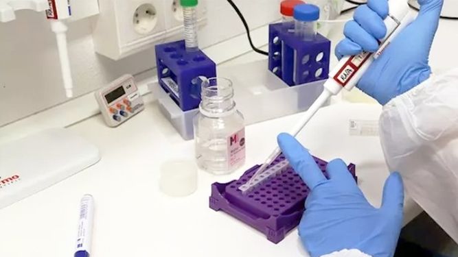 Ya llegaron a San Juan los primeros test para detectar coronavirus en la provincia