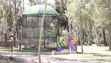 Finalmente reabrió el Faunístico