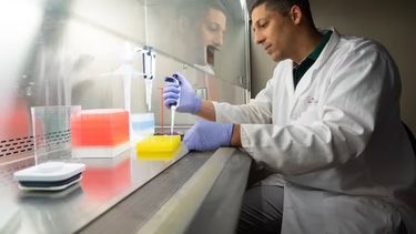 El Covid-19 no afectó a todos los infectados por igual.