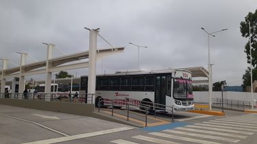 Maldonado, sobre la merma en el transporte público: La situación es compleja