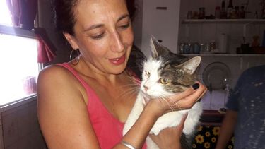 Pancho, el gato que iba a ser sacrificado, tiene una nueva vida