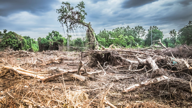 El cambio climático está generando grandes dolores de cabeza en todo el mundo.