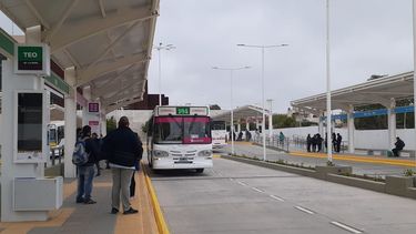 En carne y hueso: los que ganan y los que pierden con el cambio de recorrido de los micros