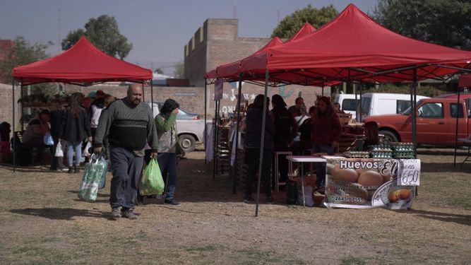 El camión de frutas y verduras llegará a San Martín: ¿cuándo y dónde?