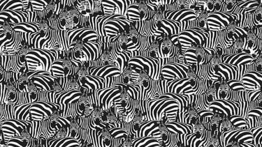 Reto para genios: podés encontrar el piano oculto en la imagen