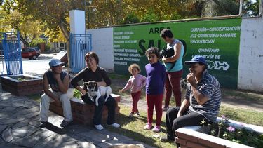 En dos semanas esterilizaron a 800 caninos y felinos