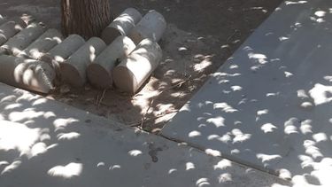 ¿Y esas sombras? El fenómeno durante el eclipse solar que sorprendió a más de uno