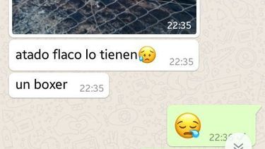 Respondió la dueña de uno de los perros acusada de maltrato animal por los lectores