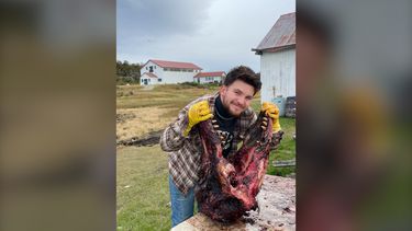 Gabriel Yudewitz limpiando la cabeza de una Falsa Orca (Pseudorca crassidens) en el Museo Acatushun.