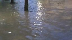 Cuál es la situación en la provincia tras las lluvias, según Defensa Civil