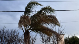 Alerta amarilla: el viento Sur será protagonista durante la tarde y noche de este martes.
