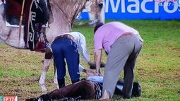 Un jinete sanjuanino se golpeó muy fuerte en el Festival Jesús María