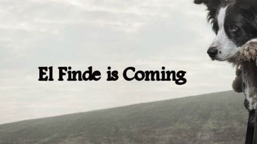 Prepará la colcha y encerrate: se viene el finde más frío del año