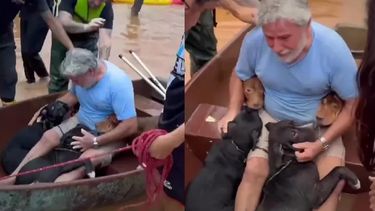 El emotivo video de un hombre enfermo arriesgando su vida para salvar a sus perros