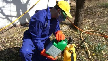 Charla sobre uso de seguro de productos fitosanitarios