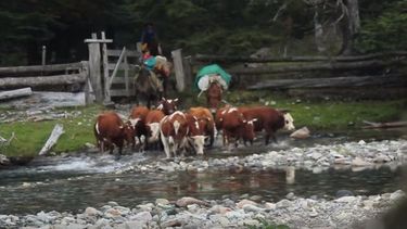 Se viene el Festival del Arreo Cordillerano en Pedernal
