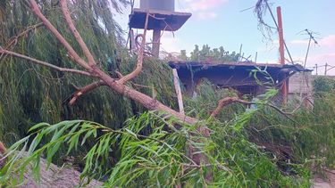 El viento tiró un árbol de gran porte arriba de una casa en Santa Lucía