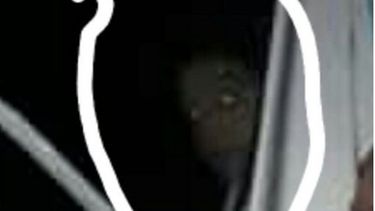 Denuncian que un ser extraño aparece en Caucete