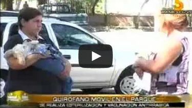 El quirófano móvil llegó al Parque de Mayo