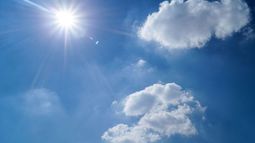 Máxima de 14º y rige un alerta por vientos y nevadas intensas